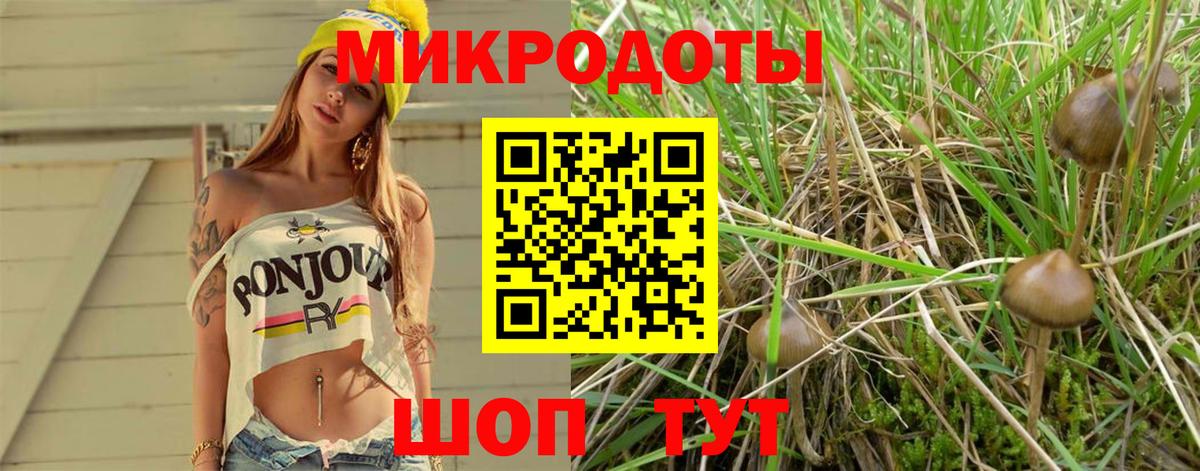 Псилоцибиновые грибы Psilocybe  Вход с VPN  Полысаево  Псилоцибиновые грибы мухоморы 